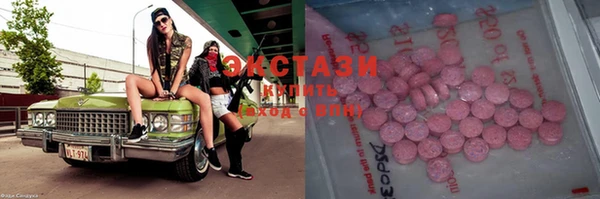 индика Сосновоборск