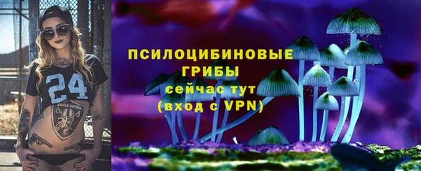 COCAINE Богородицк
