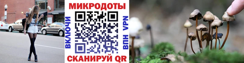 закладка  Коммунар  Галлюциногенные грибы мицелий 